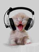 DJ Avatar